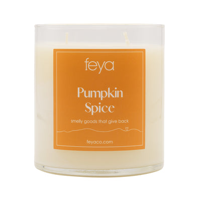 Feya Pumpkin Spice 17 oz Candle